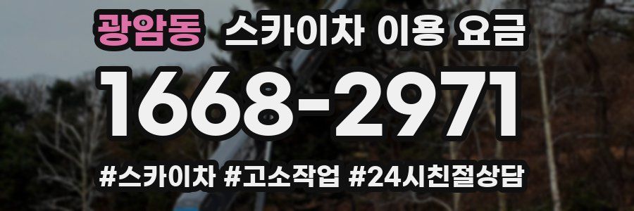 광암동 스카이차 이용 요금
