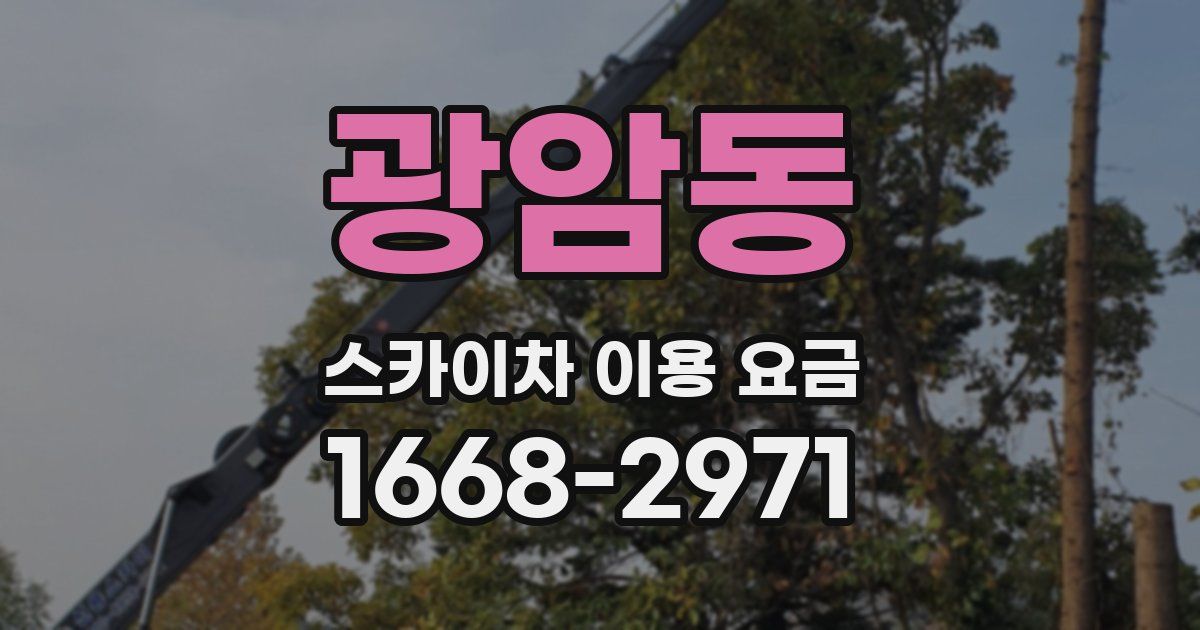 광암동 스카이차 이용 요금
