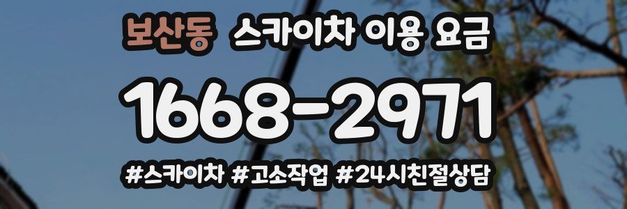 보산동 스카이차 이용 요금