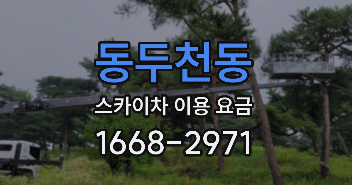 동두천동 스카이차 이용 요금