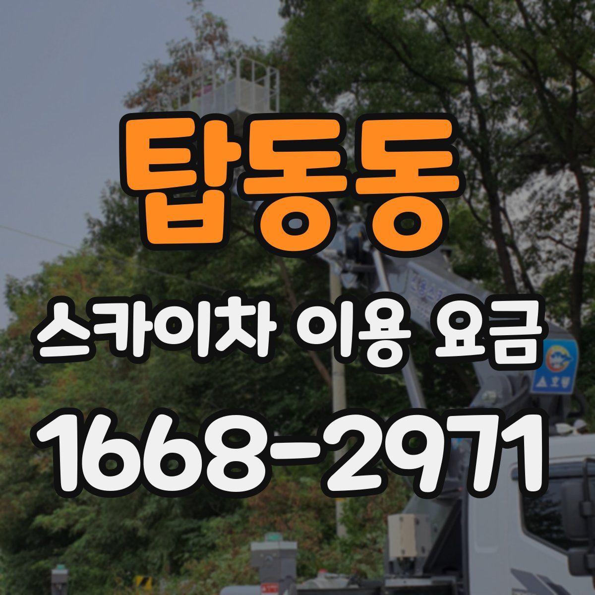 탑동동 스카이차 이용 요금