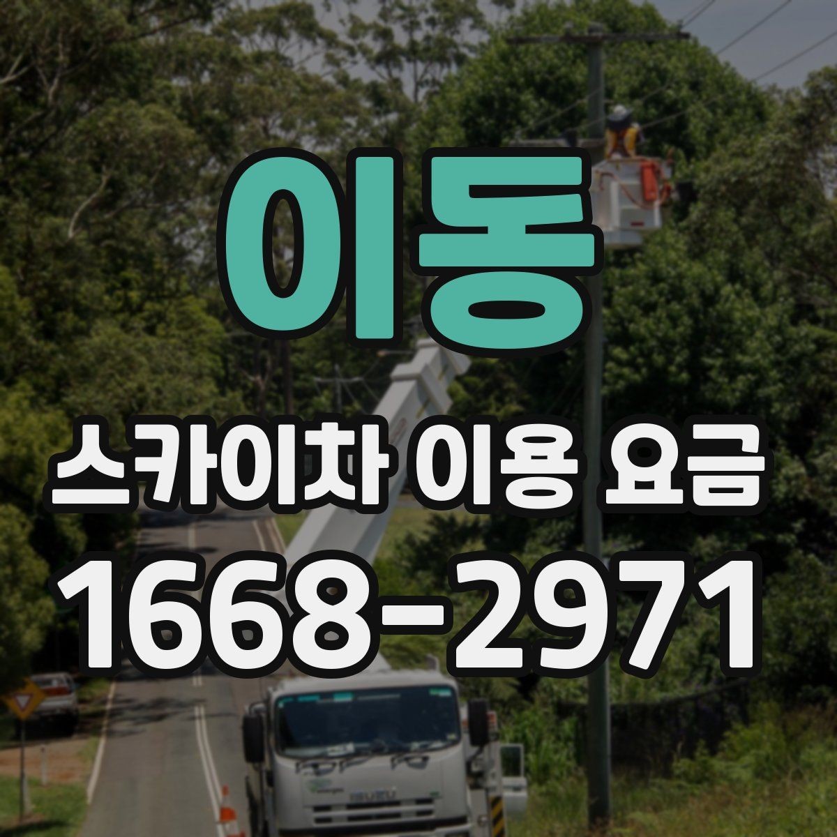이동 스카이차 이용 요금 확인 전 알아둘 실용 정보