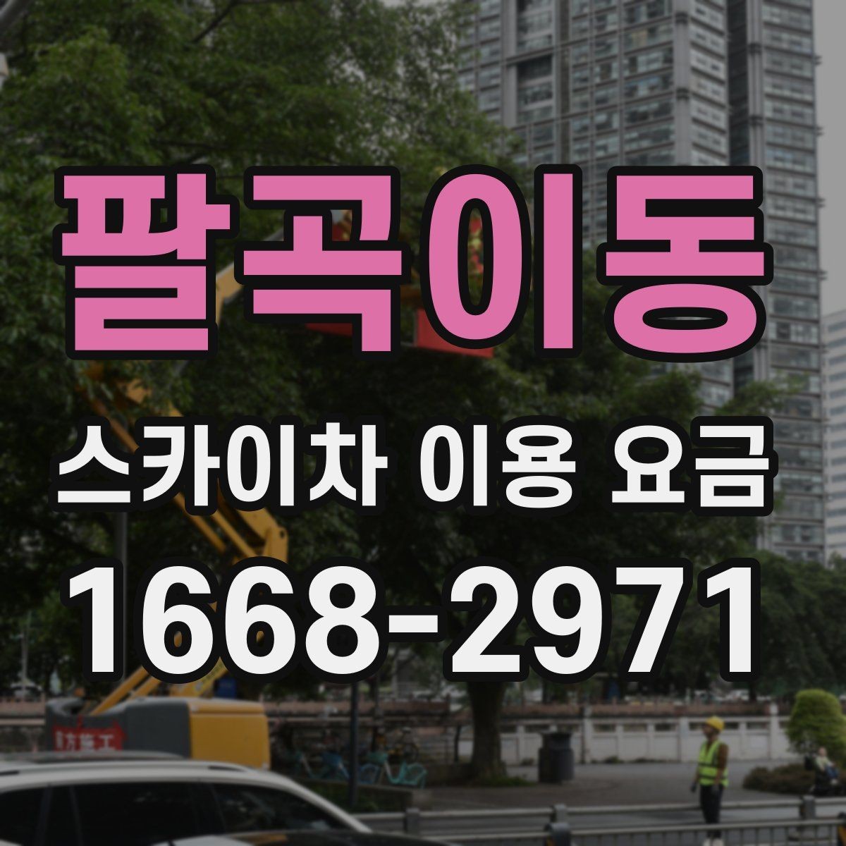 팔곡이동 스카이차 이용 요금 비교를 위한 핵심 포인트