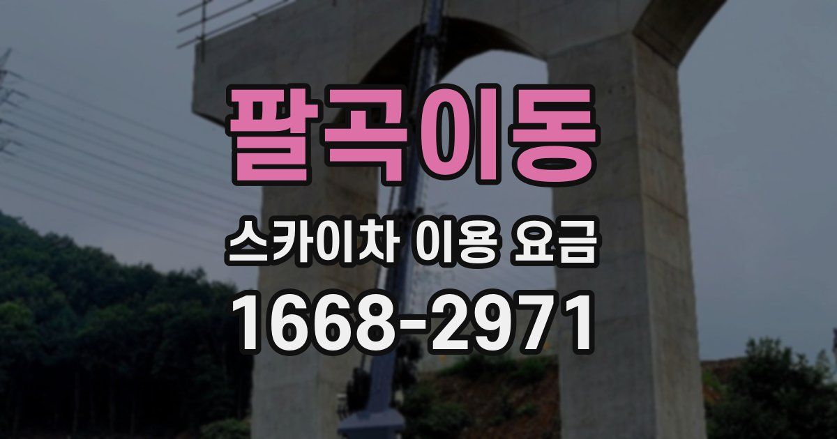 팔곡이동 스카이차 이용 요금