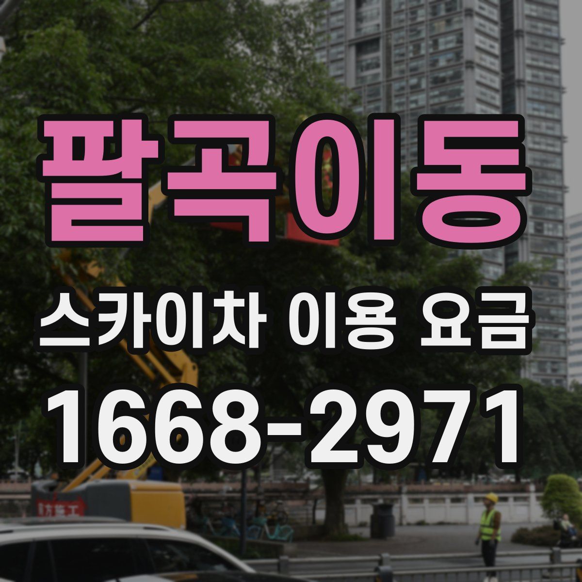팔곡이동 스카이차 이용 요금