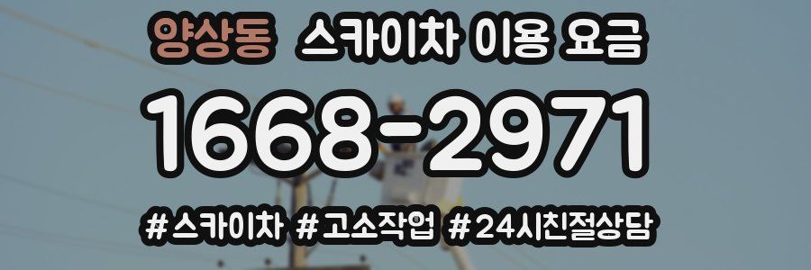 양상동 스카이차 이용 요금