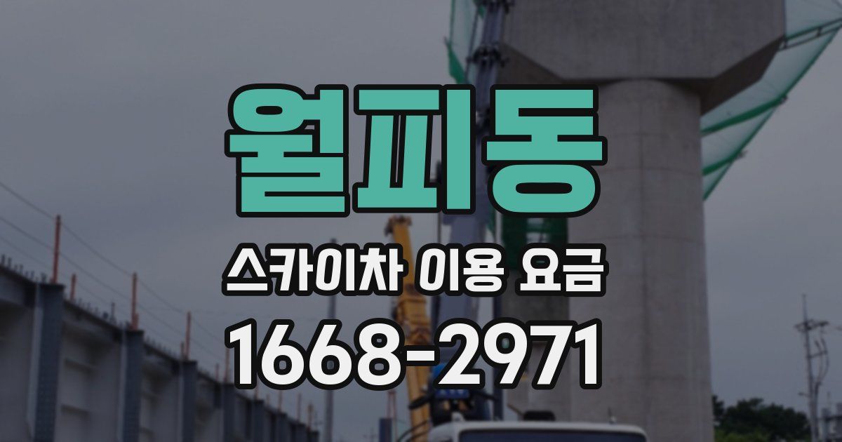 월피동 스카이차 이용 요금