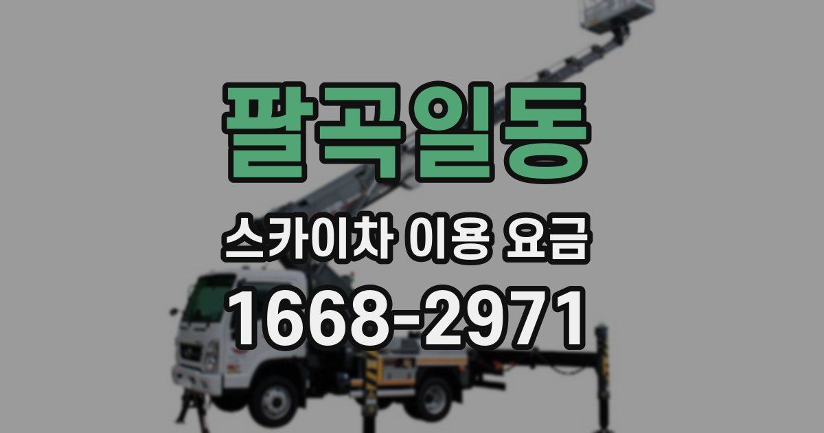 팔곡일동 스카이차 이용 요금