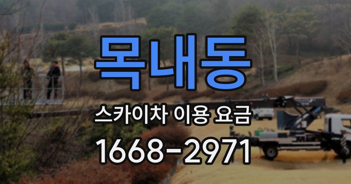 목내동 스카이차 이용 요금
