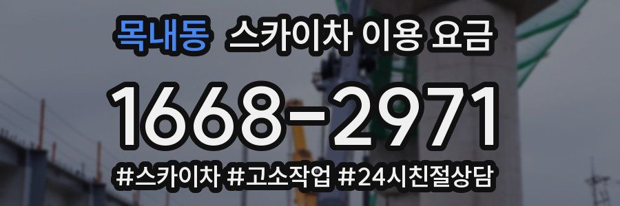 목내동 스카이차 이용 요금