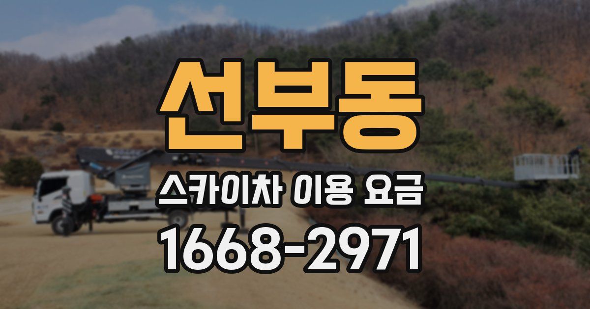 선부동 스카이차 이용 요금