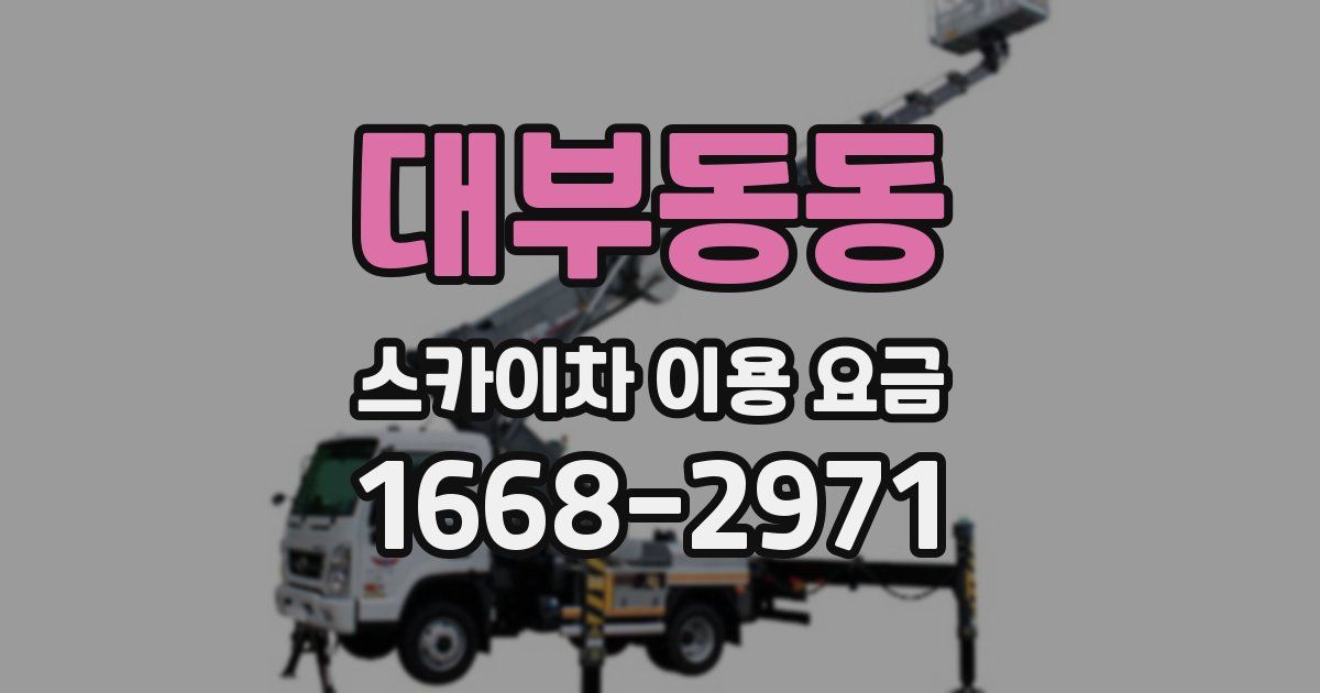 대부동동 스카이차 이용 요금