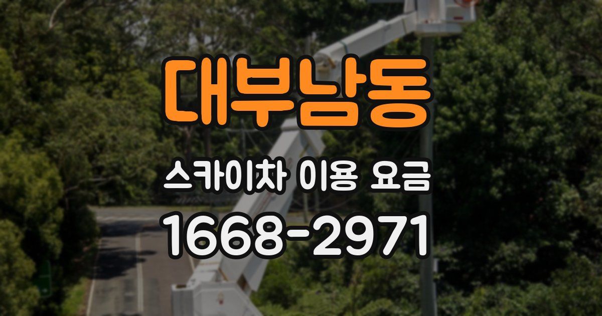 대부남동 스카이차 이용 요금