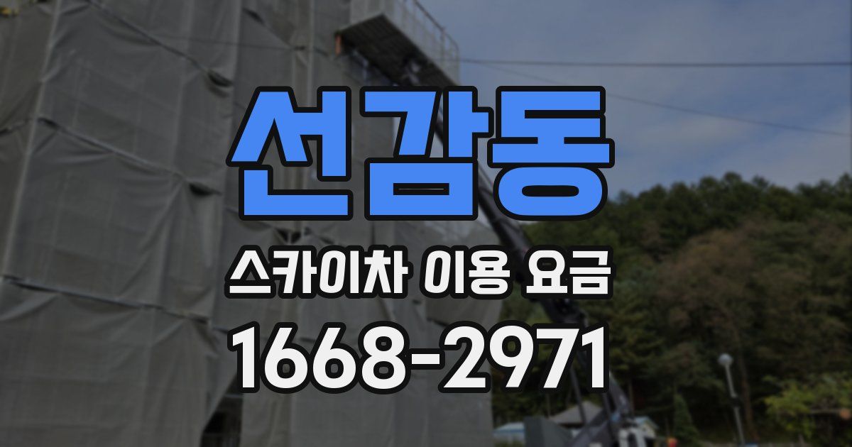 선감동 스카이차 이용 요금