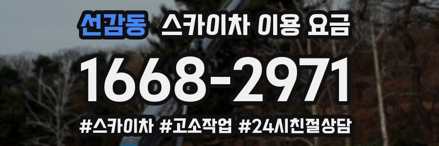 선감동 스카이차 이용 요금