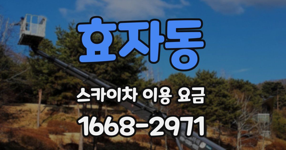 효자동 스카이차 이용 요금