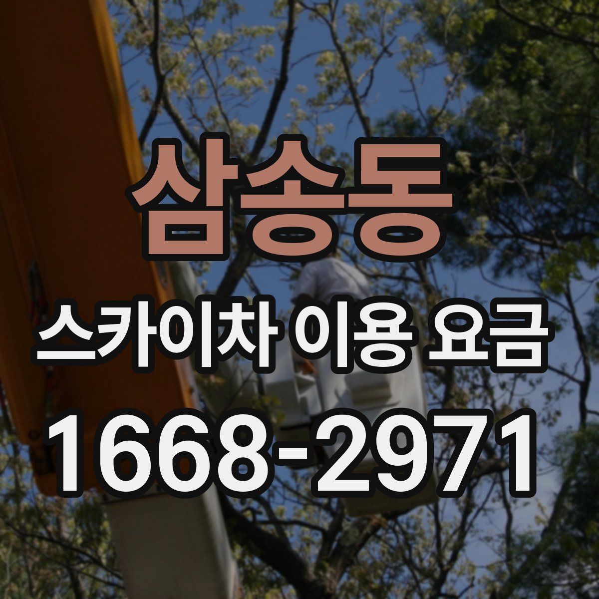 삼송동 스카이차 이용 요금