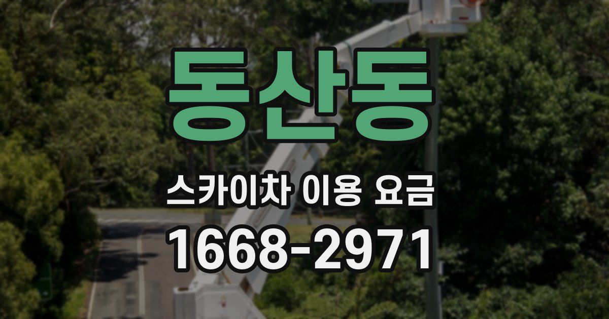 동산동 스카이차 이용 요금