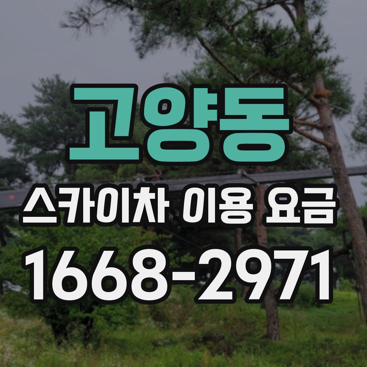 고양동 스카이차 이용 요금