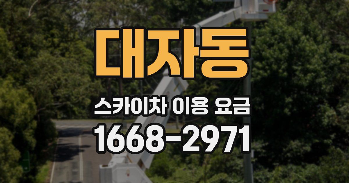 대자동 스카이차 이용 요금