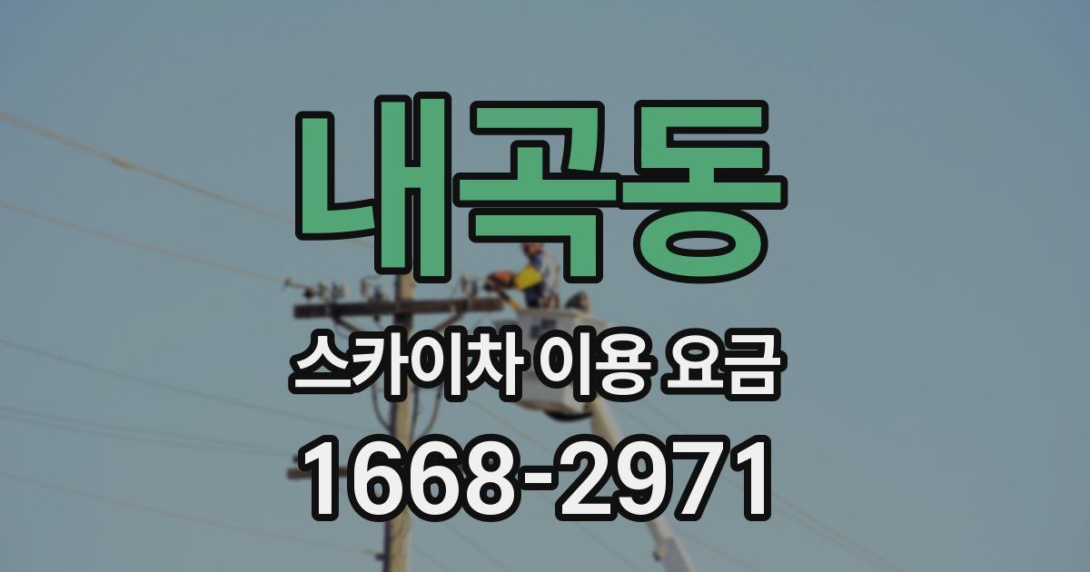 내곡동 스카이차 이용 요금