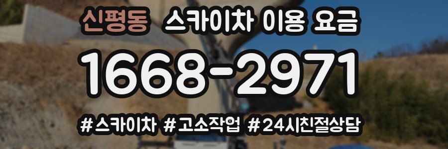 신평동 스카이차 이용 요금