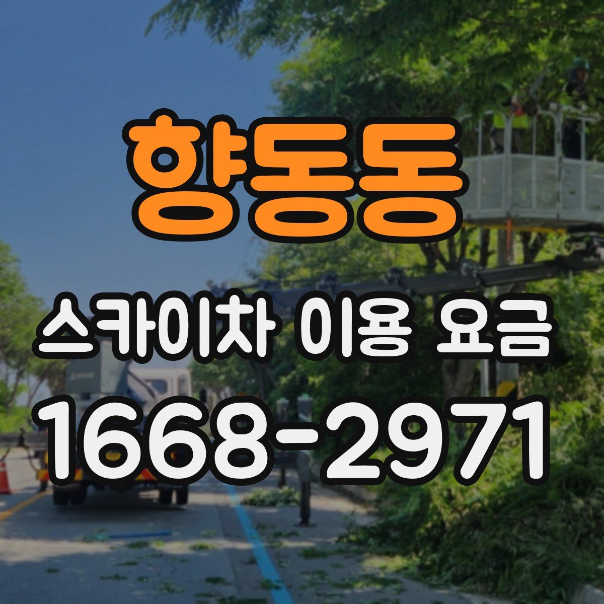 향동동 스카이차 이용 요금