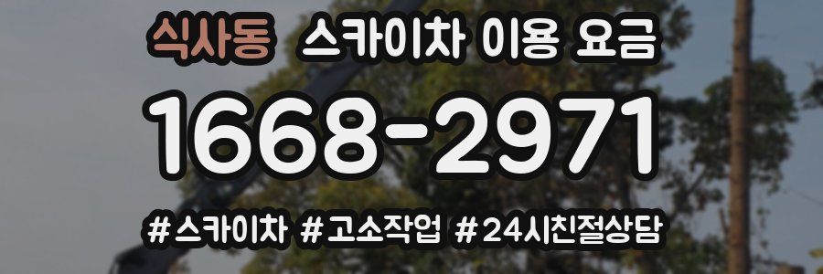식사동 스카이차 이용 요금