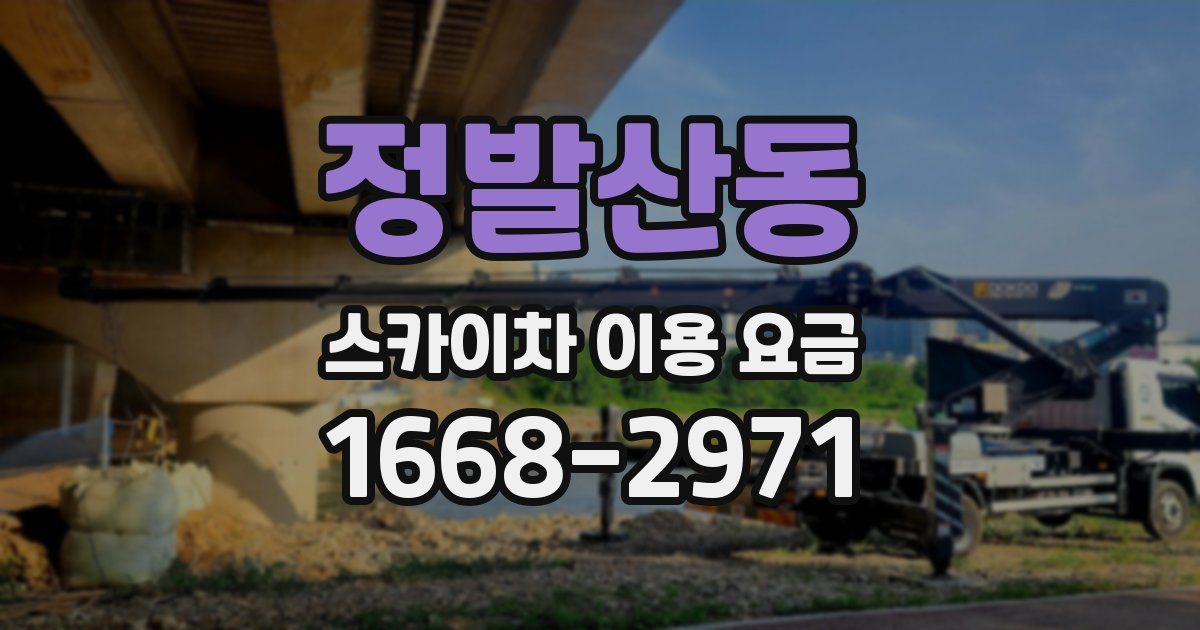 정발산동 스카이차 이용 요금