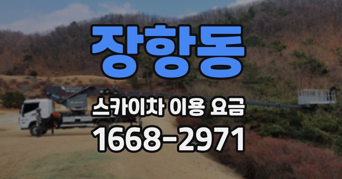 장항동 스카이차 이용 요금