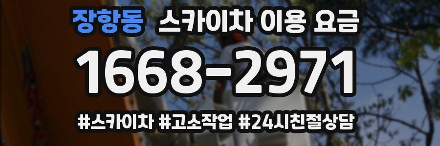 장항동 스카이차 이용 요금