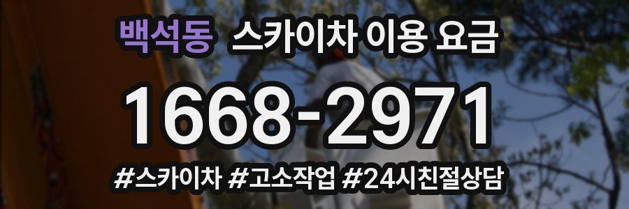 백석동 스카이차 이용 요금