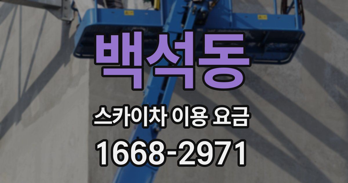 백석동 스카이차 이용 요금