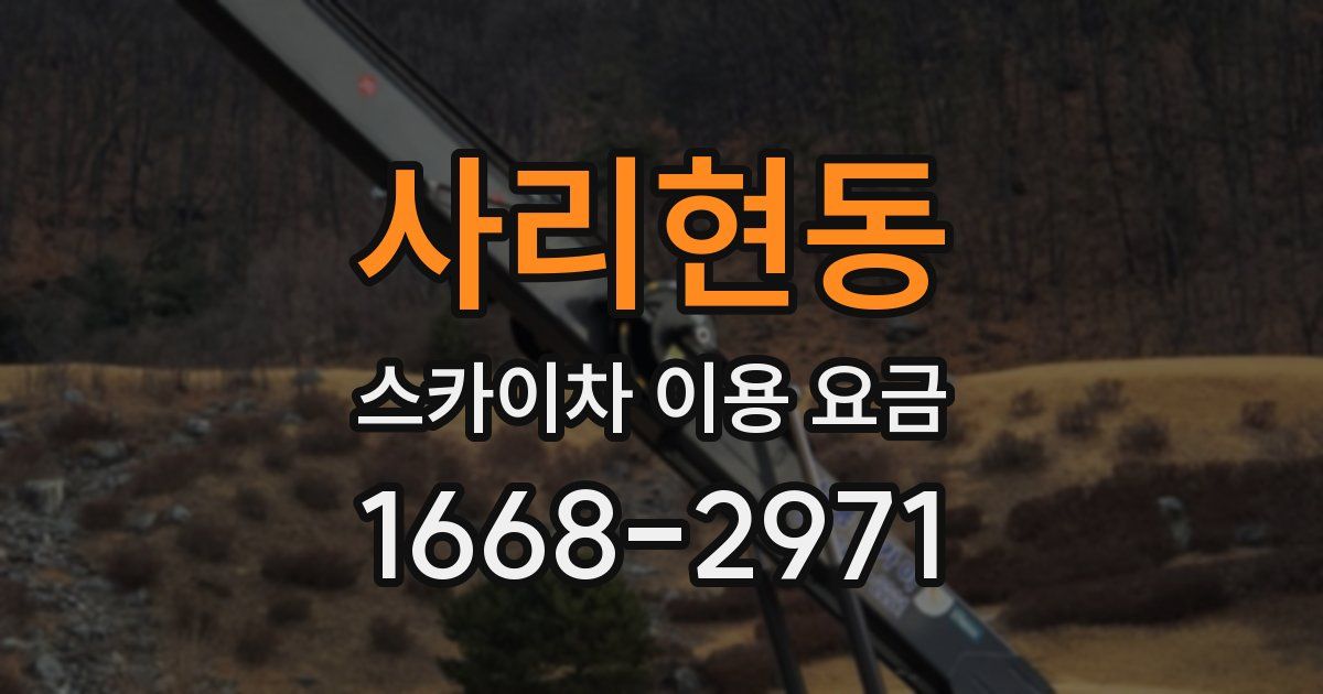 사리현동 스카이차 이용 요금