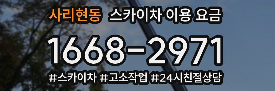 사리현동 스카이차 이용 요금