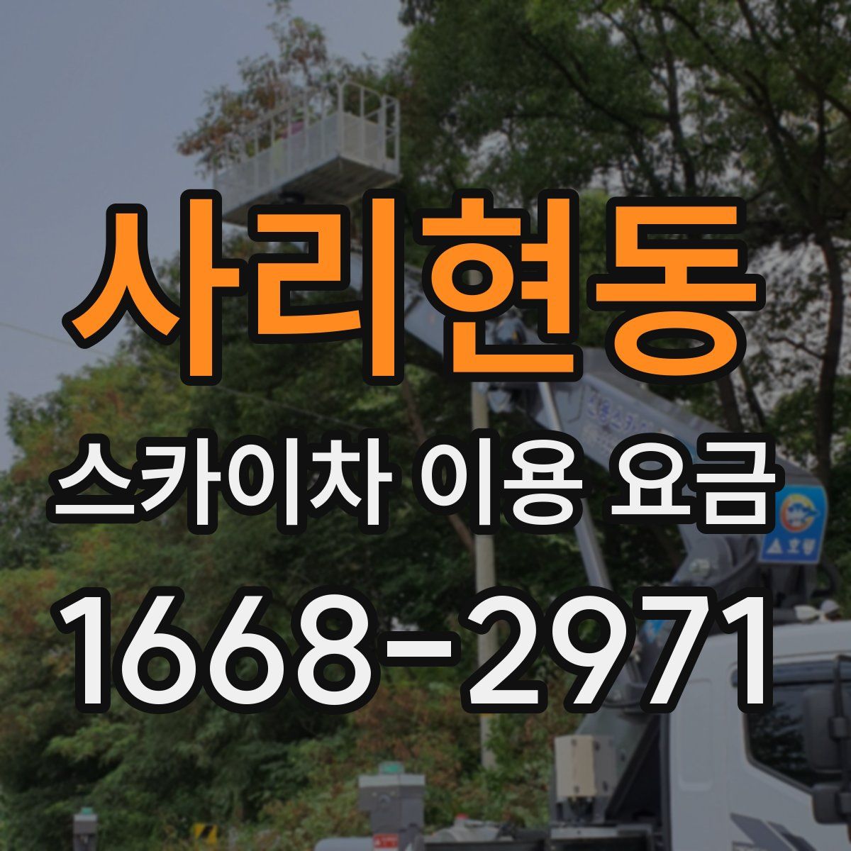 사리현동 스카이차 이용 요금