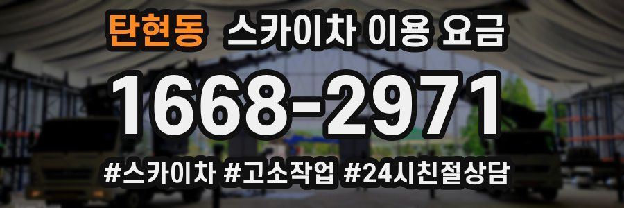 탄현동 스카이차 이용 요금