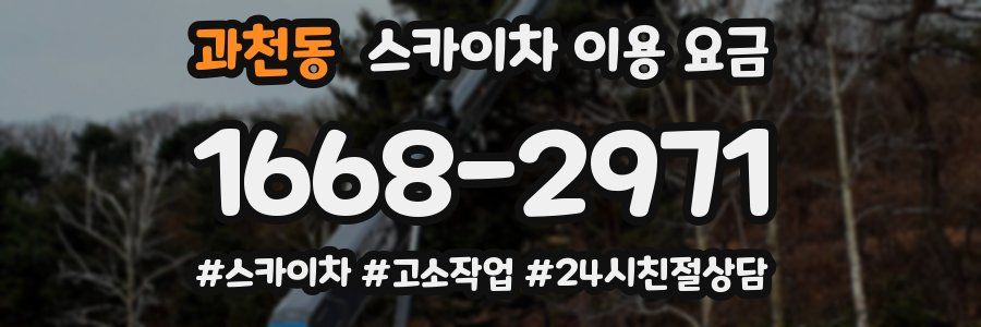 과천동 스카이차 이용 요금