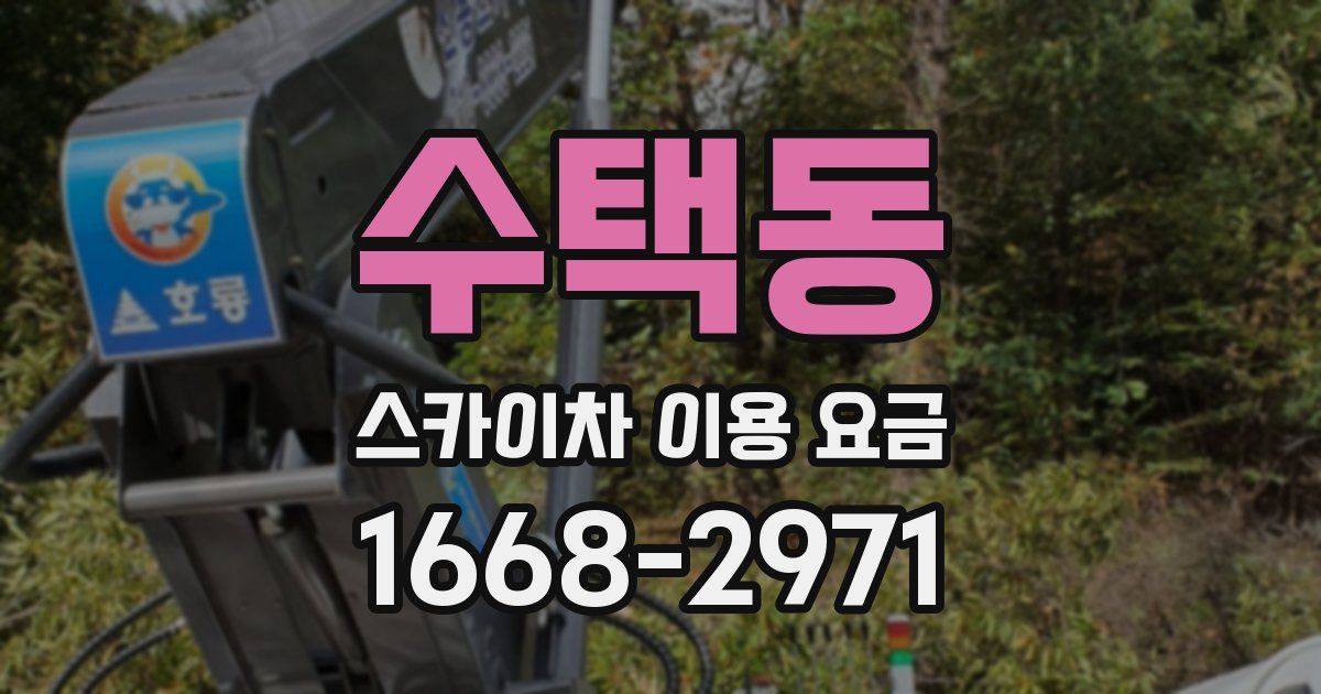 수택동 스카이차 이용 요금