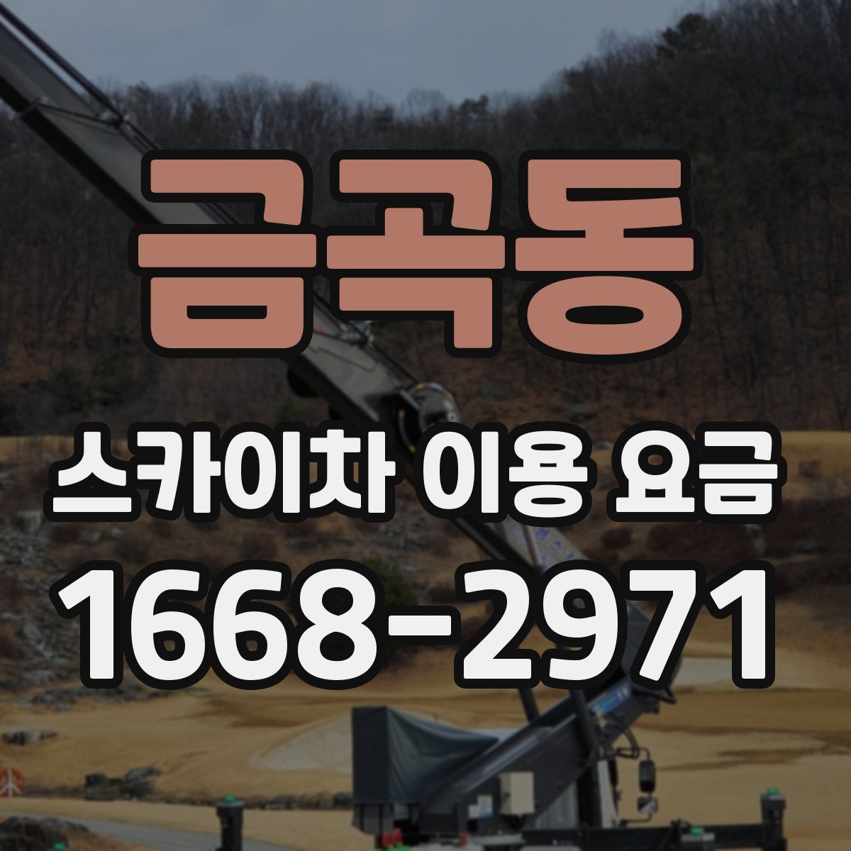 금곡동 스카이차 이용 요금