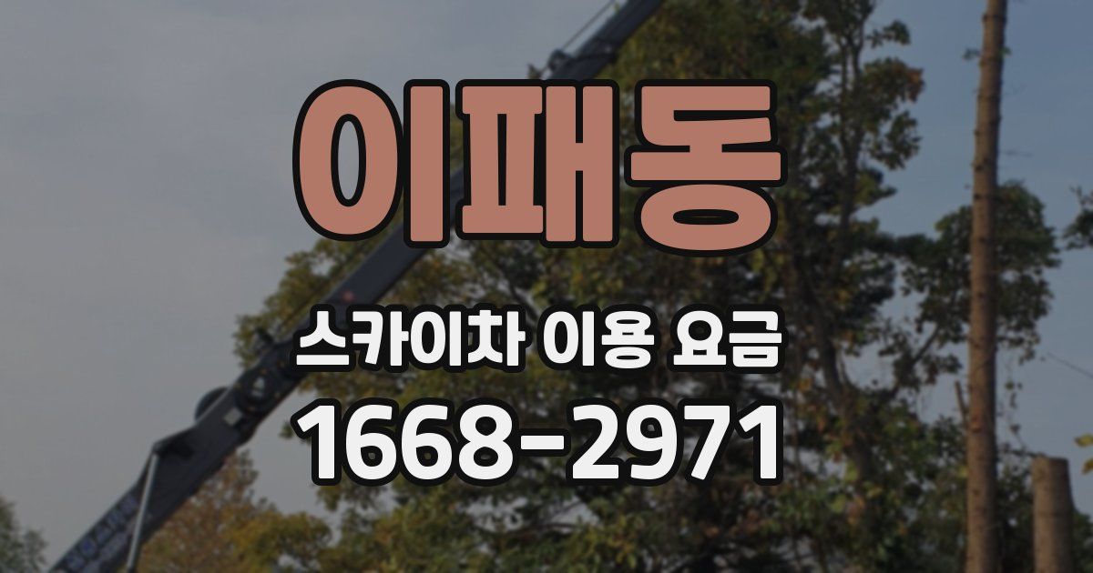 이패동 스카이차 이용 요금