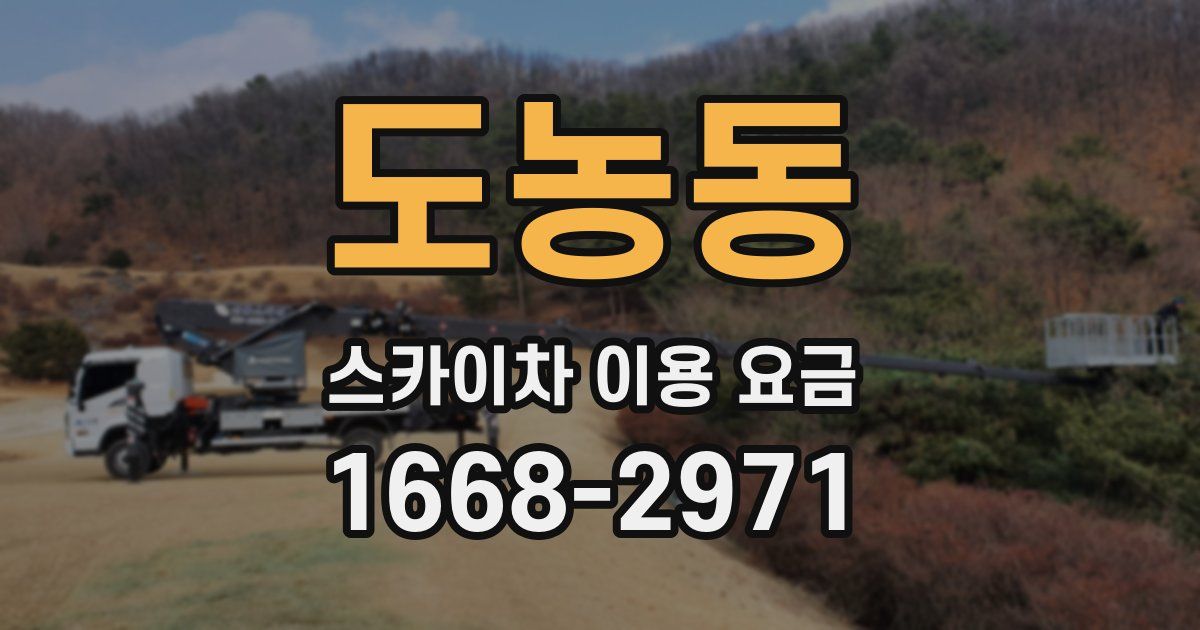 도농동 스카이차 이용 요금
