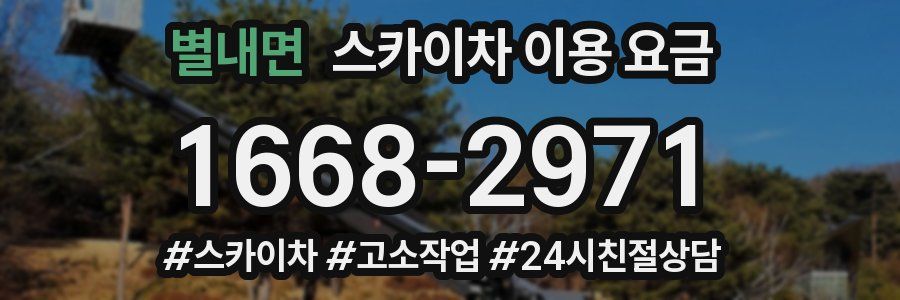 별내면 스카이차 이용 요금
