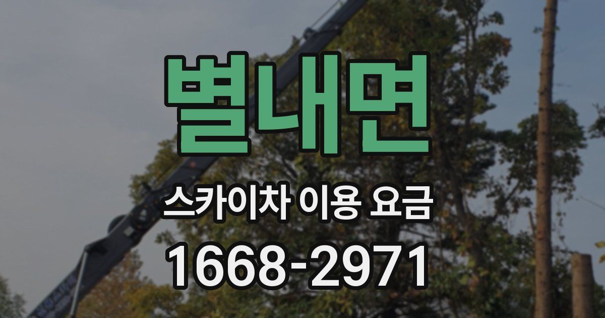 별내면 스카이차 이용 요금