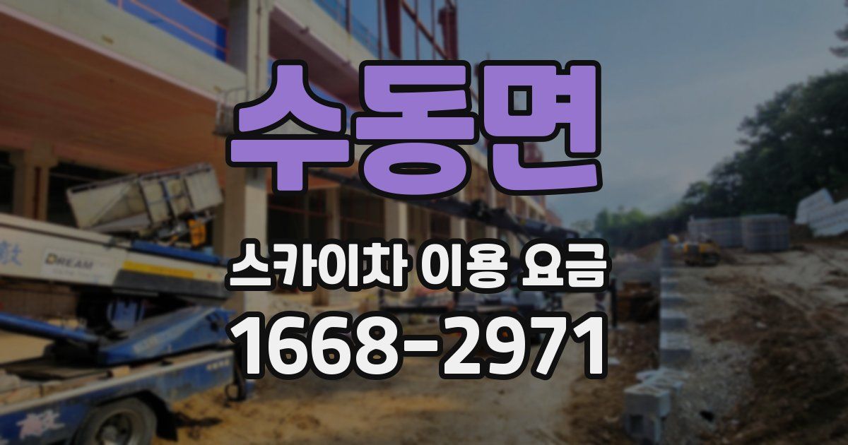 수동면 스카이차 이용 요금