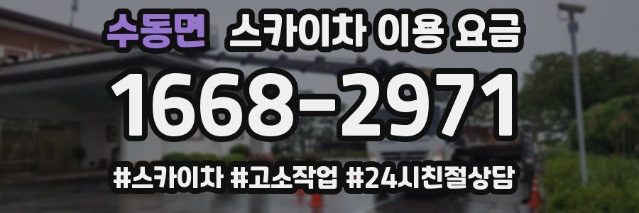 수동면 스카이차 이용 요금