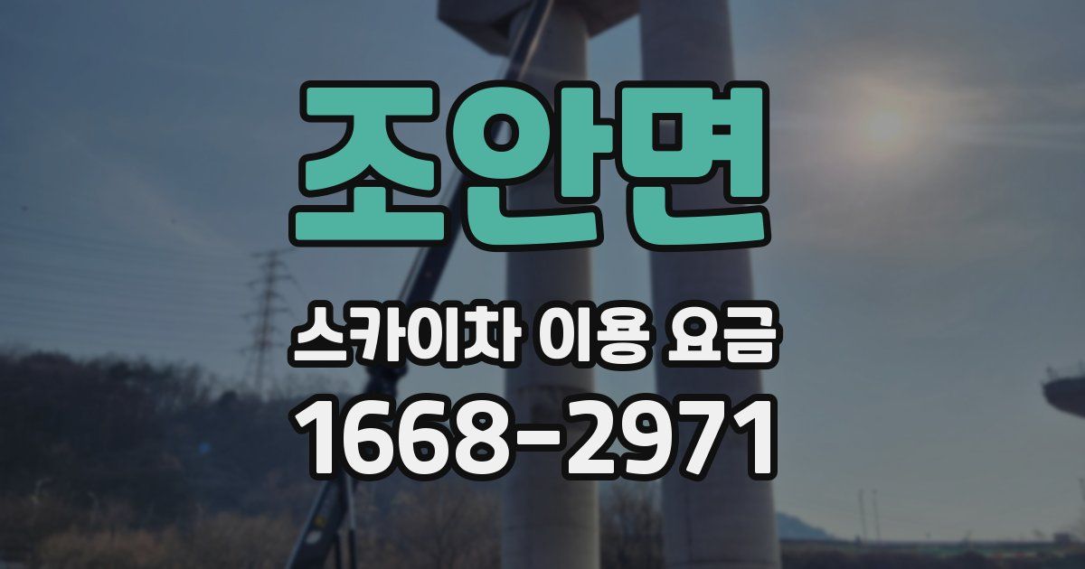 조안면 스카이차 이용 요금