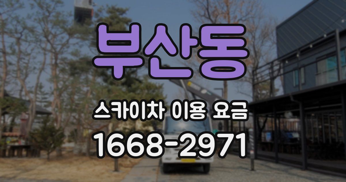 부산동 스카이차 이용 요금
