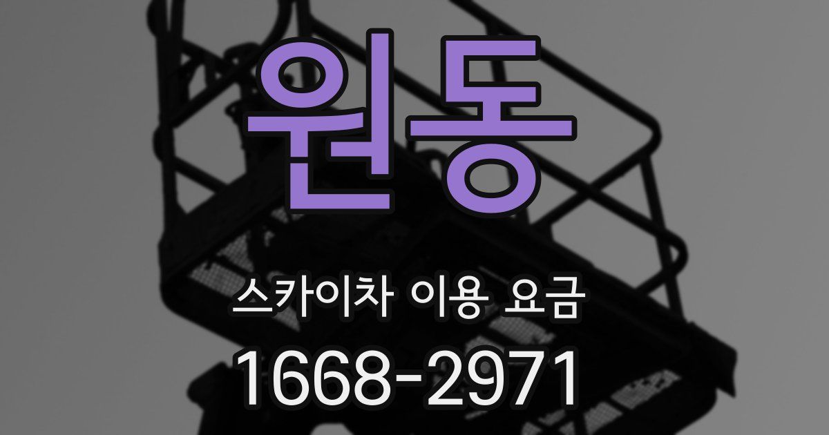 원동 스카이차 이용 요금
