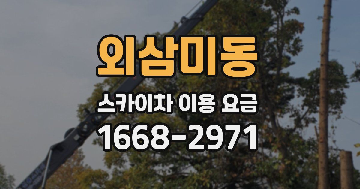 외삼미동 스카이차 이용 요금